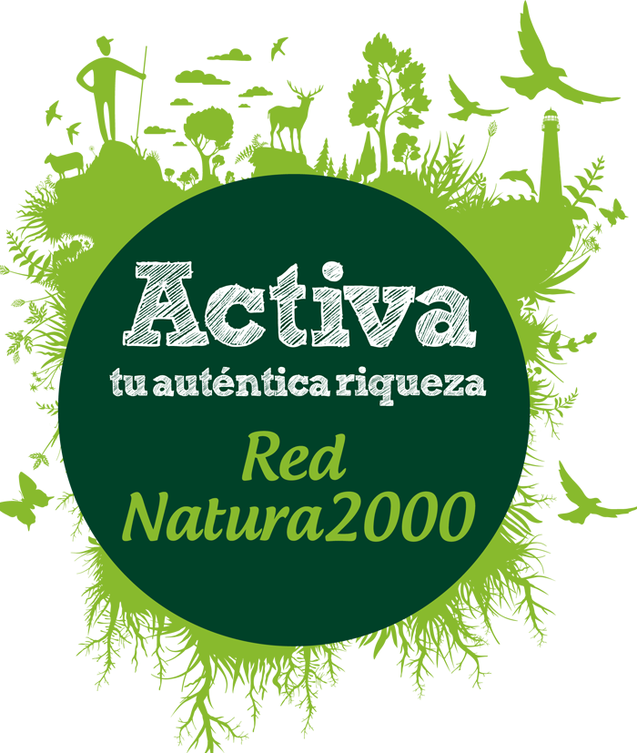 Activate_2